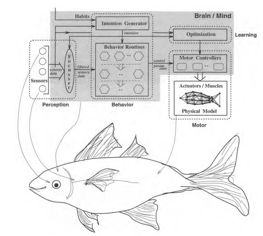 Artificial Fish Modelling