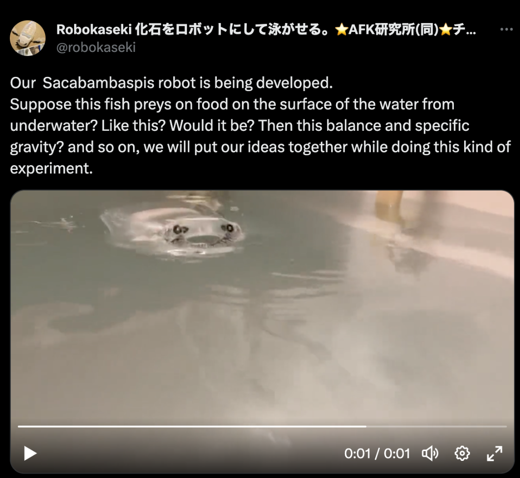 Sacabambaspis robot: inspired by a barrel shaped fish
