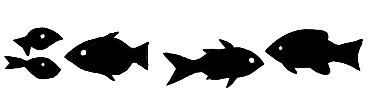 Section Header, a school of fish