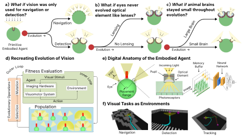 Figure 1 of the "What If Eye" Paper