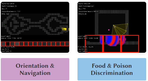Screenshots of the What if Eye simulator