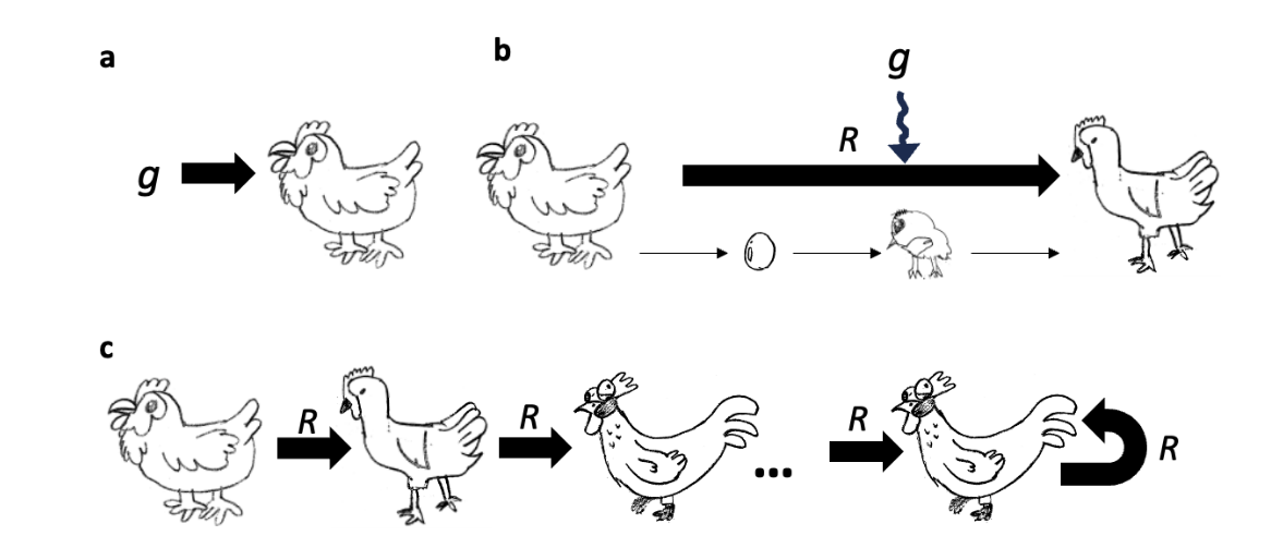 A figure from the paper showing crazy-looking hand drawn chickens