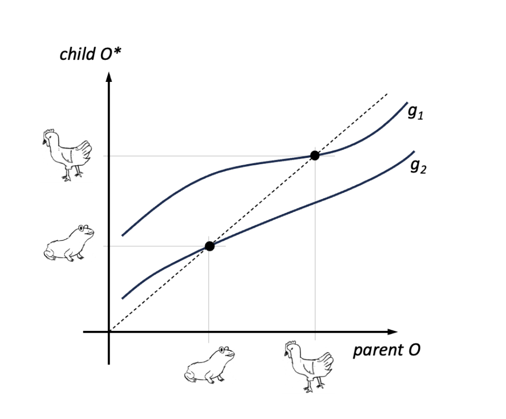 A figure from the paper showing a hand drawn chicken and a long-spined frog