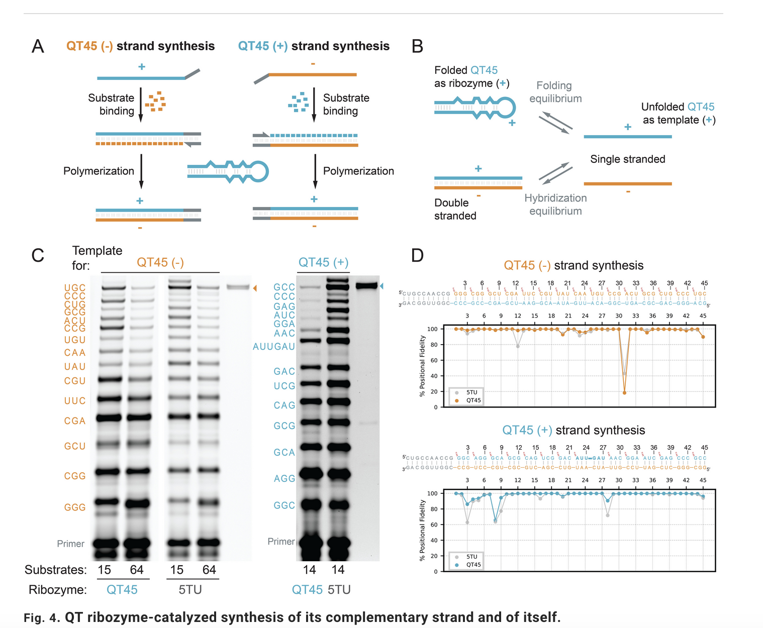 Figure from the paper showing complementary strand synthesis