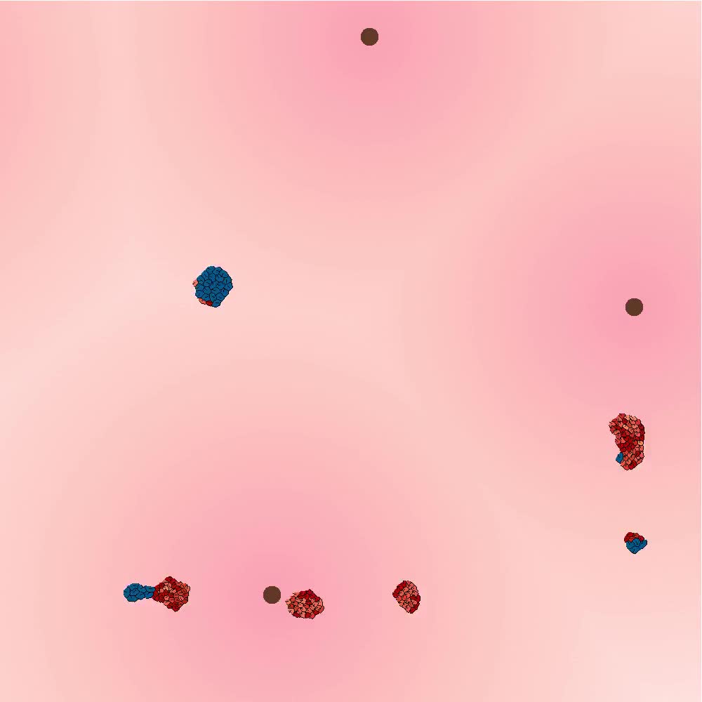 Screenshot of a simulation: Several groups of cells against a pink
background