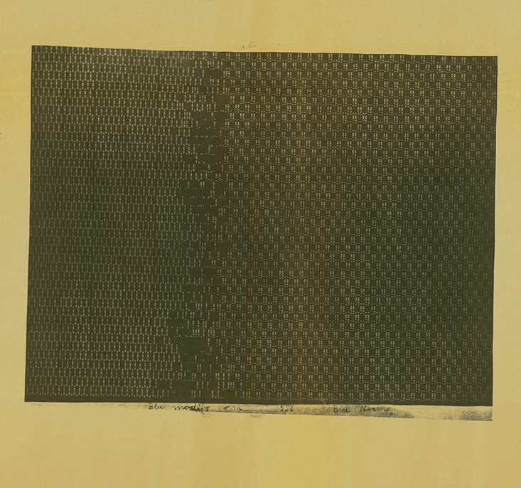A print from one of Barricelli's simulations, from Nautilus