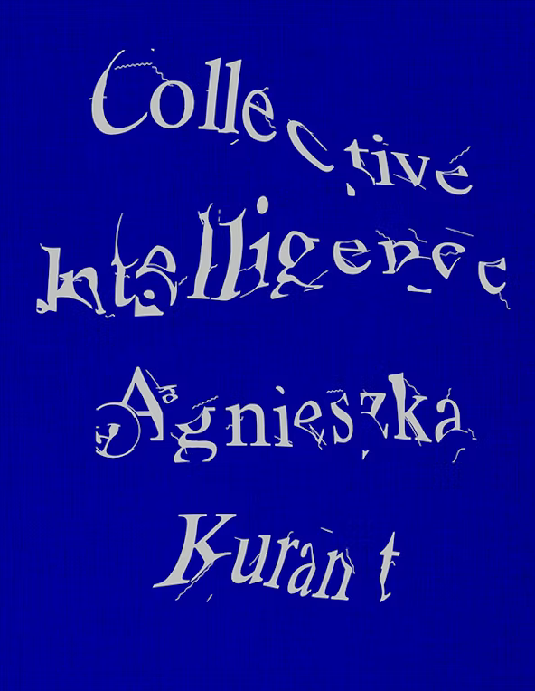 Book cover: blue background with deformed title.
